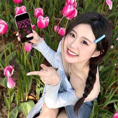 我的会长大人海报